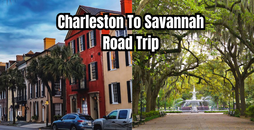 Charleston to Savannah Road Trip