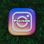 Exploring Pros and Cons of Picnob That You Need to Know