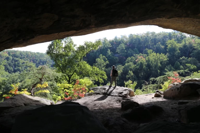 Best Red River Gorge Camping Destinations in Kentucky